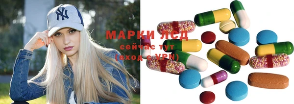 индика Белоозёрский