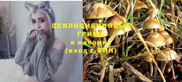 индика Белоозёрский