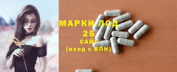 индика Белоозёрский