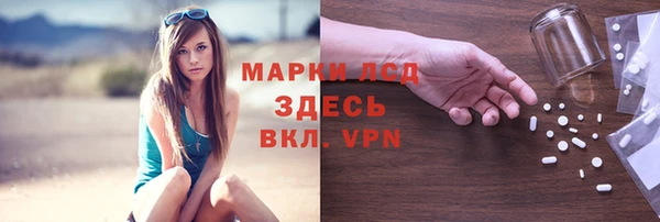 индика Белоозёрский