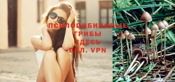метадон Беломорск