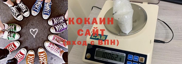 индика Белоозёрский
