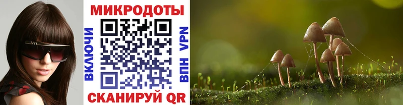 Псилоцибиновые грибы ЛСД  Мезень 